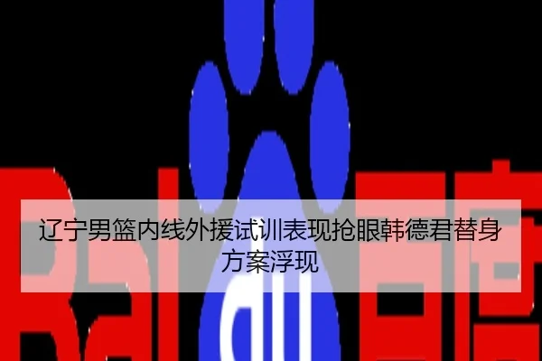 辽宁男篮内线外援试训表现抢眼韩德君替身方案浮现
