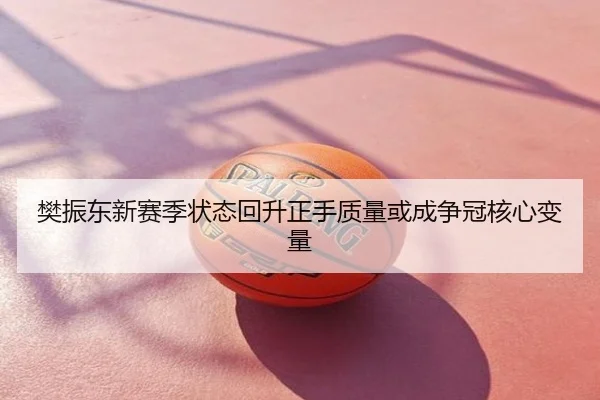 樊振东新赛季状态回升正手质量或成争冠核心变量