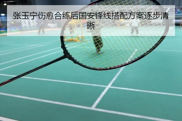 张玉宁伤愈合练后国安锋线搭配方案逐步清晰